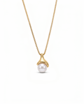Collar Fiji