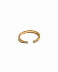Anillo Bora