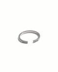 Anillo Bora