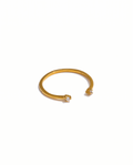 Anillo Celestia
