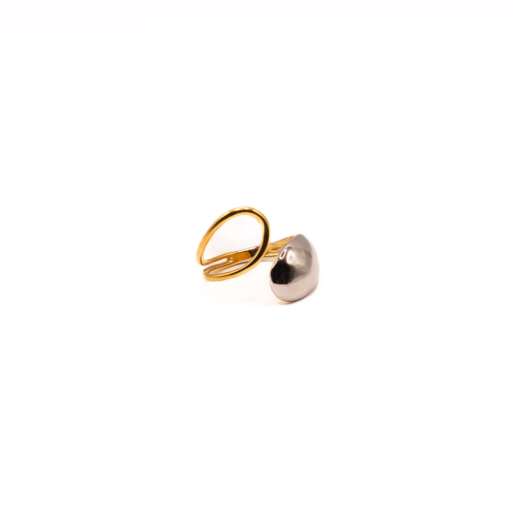 Anillo Portier