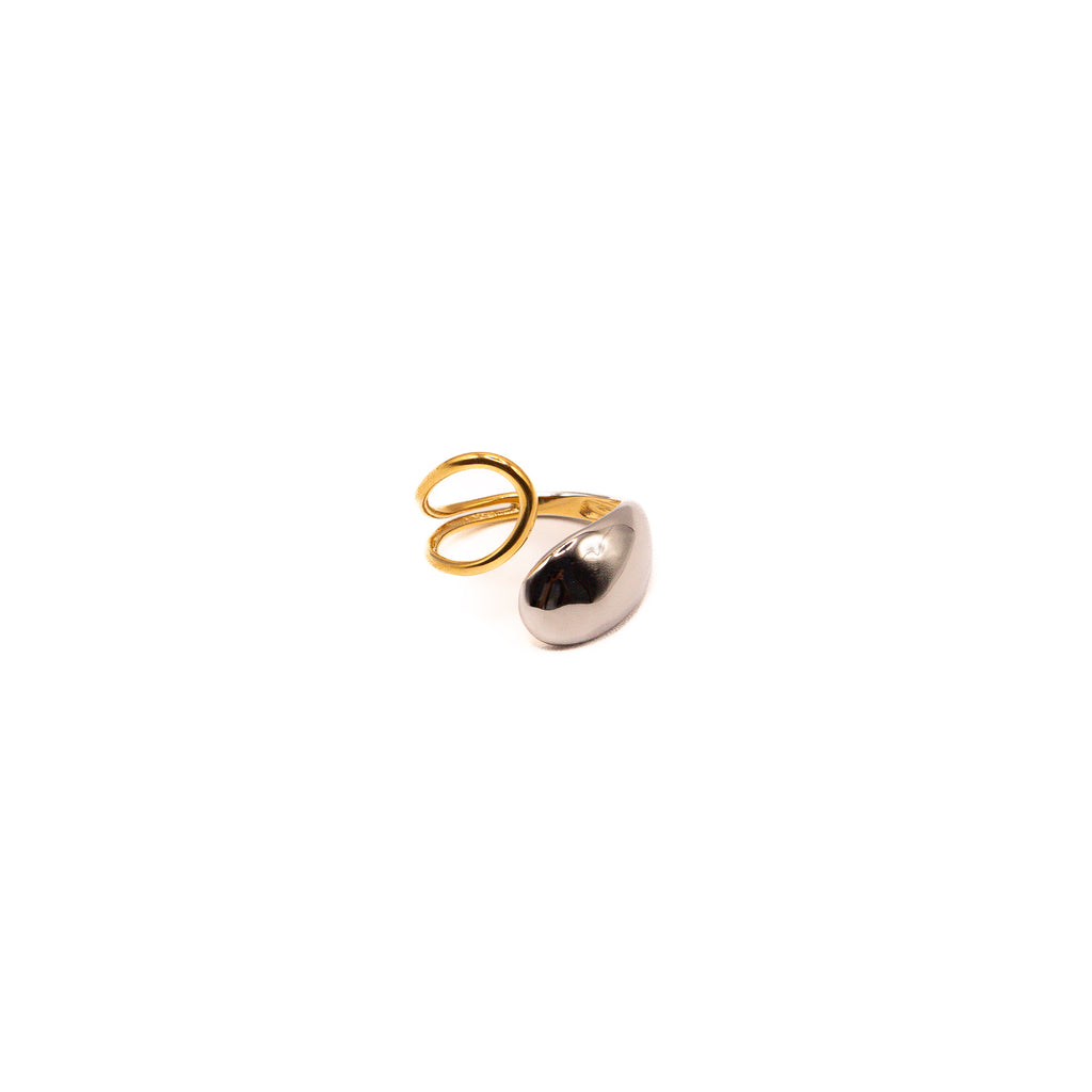 Anillo Portier