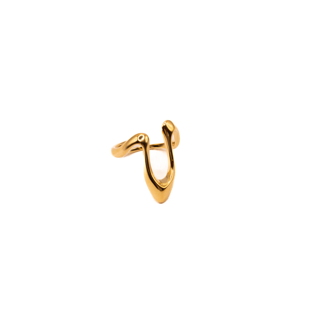 Anillo Cannes