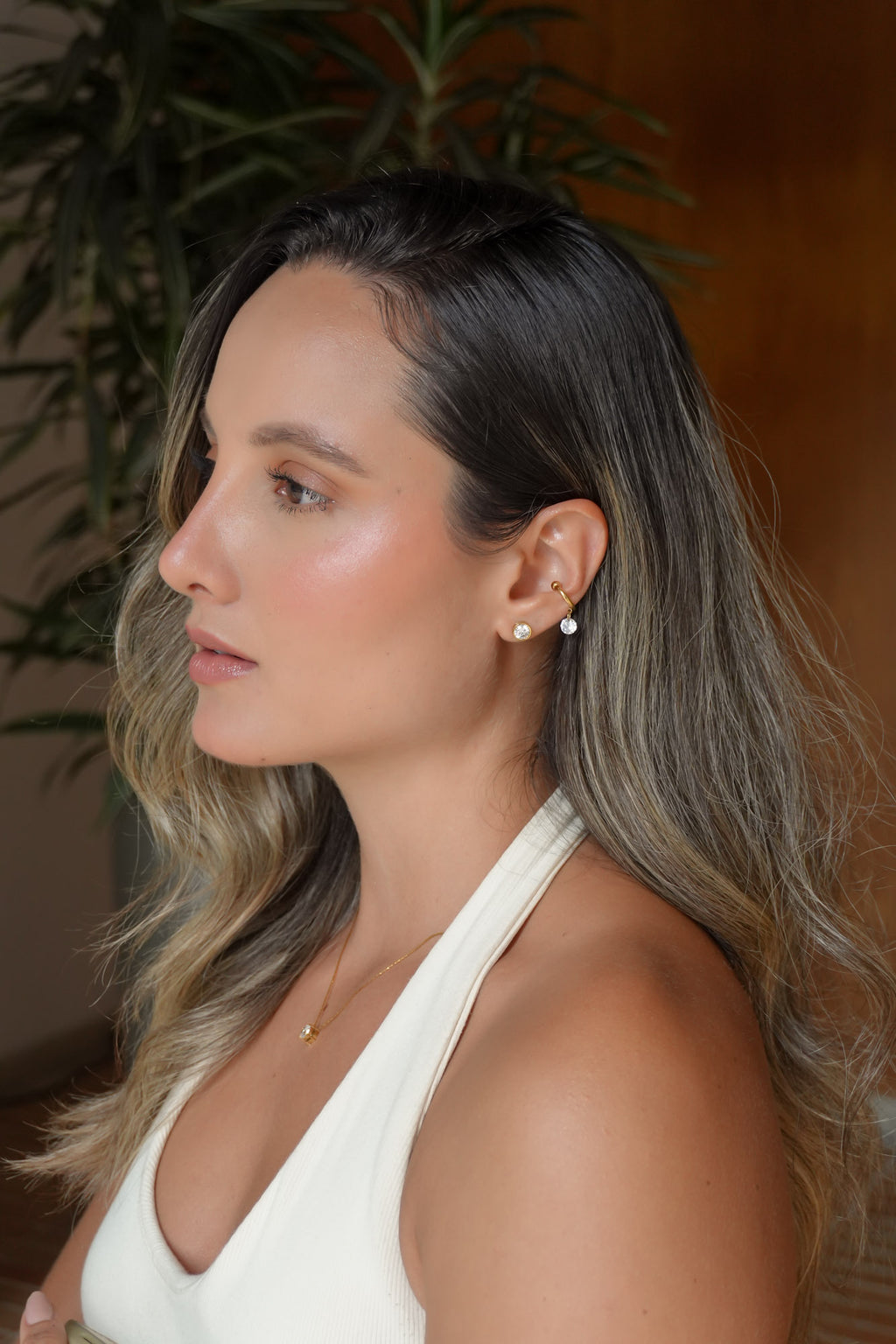 Arete Aria